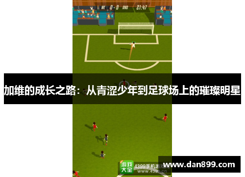 加维的成长之路：从青涩少年到足球场上的璀璨明星